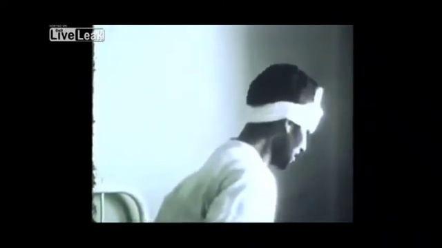 Что  такое  Бешенство