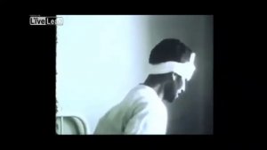 Что  такое  Бешенство