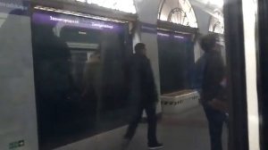 Фрунзенско-Приморская линия(линия 5) "Комендатский пр.-Шушары".