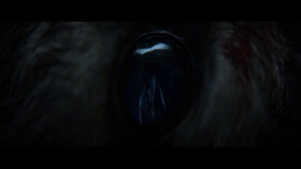 Официальный трейлер “Первая ведьма” The Wretched, (2019)