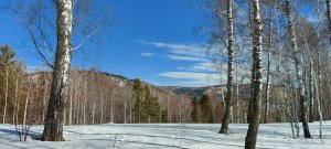 Хакасия, окрестности деревни Верхний Курлугаш, 26 марта 2023 г.