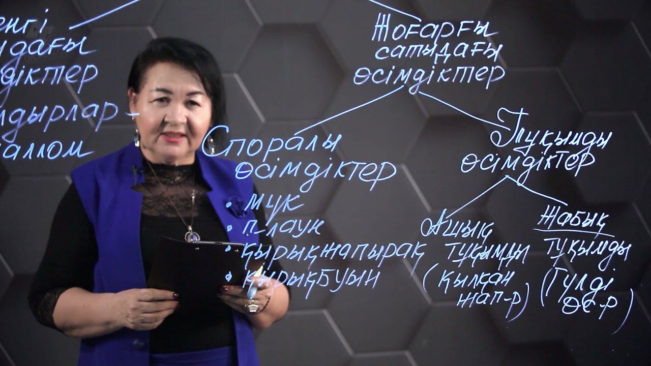 Биология. 1 вариант: № 01. смотреть онлайн