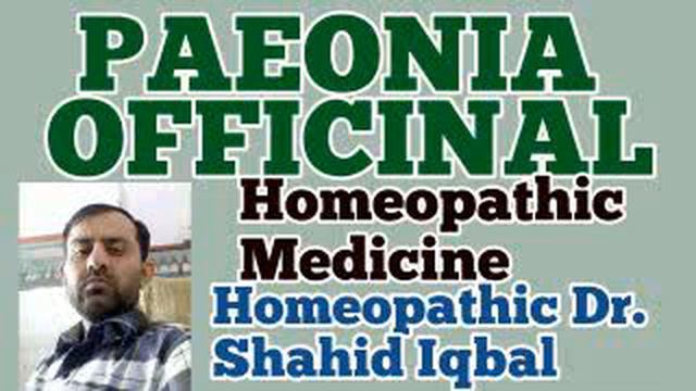 Paeonia Officinalis Homeopathic medicine|| piles, Fissure, anal fissure, burning in anus, بواسیر смотреть онлайн