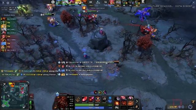 SR vs TSM - TI12 PLAYOFFS ELIMINATION - THE INTERNATIONAL 2023 Dota 2 Highlights смотреть онлайн