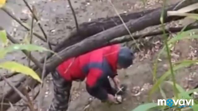 рыбалка на щуку с. Садовка Кыштовский район Новосибирская область. Красота природы????☘️?? смотреть онлайн