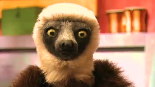 Zoboomafoo-102---Eye-Spy-(Full-Episode) смотреть онлайн