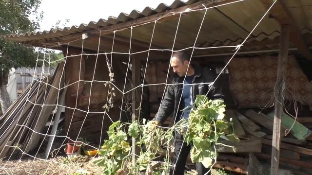 ИХ ХВАТИТ на 10 месяцев | СОСЕДИ СПРАШИВАЛИ ЗАЧЕМ НАМ СТОЛЬКО смотреть онлайн