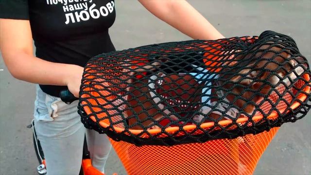 Чихуахуа пытается сбежать. Фондю показывает зубы смотреть онлайн