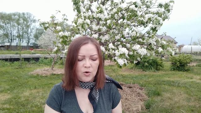 роман "Мать звезды" глава 10 Елена Халдина смотреть онлайн