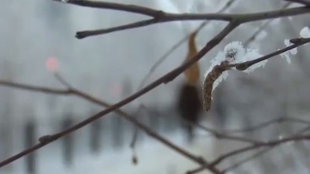 До минус 40 смотреть онлайн