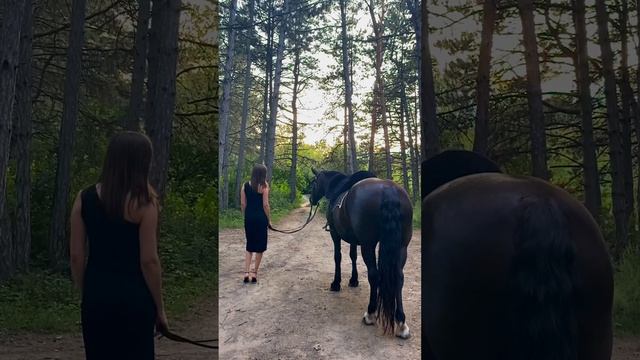 Самый лучший комплимент