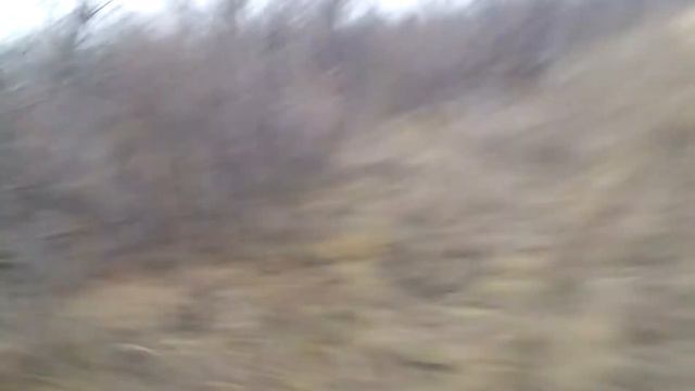 Фрагмент гона р.г.Плакун вл.ПоповН.Е.,2017г.осень. смотреть онлайн