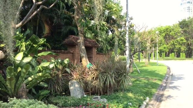 Bangkok Chatuchak Park