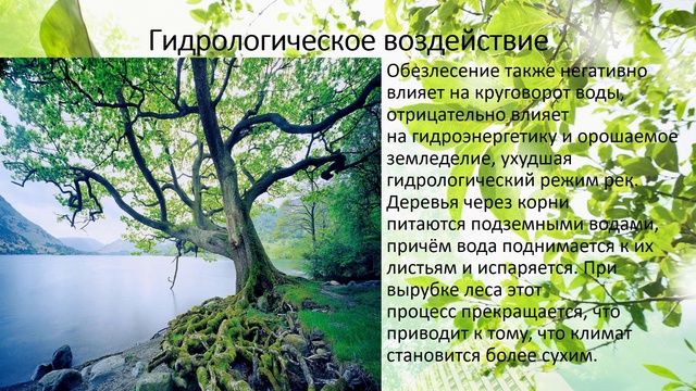 проект экология смотреть онлайн