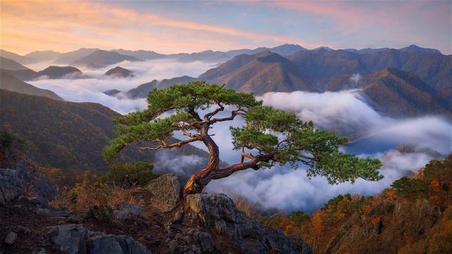 Arirang - Epic Korean Folk Song