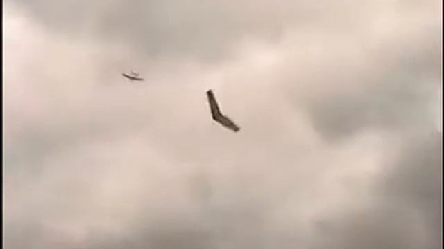 Aile Raptor (Combat Air Model) смотреть онлайн