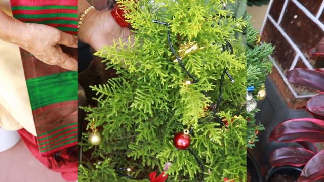 Christmas Special смотреть онлайн