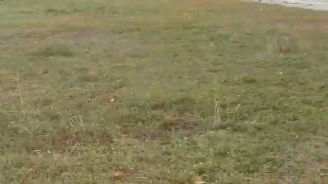 Какое число сказал человек стоко и денег смотреть онлайн