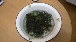 Растения в растворе лимонной кислоты. Избавляюсь от водорослей