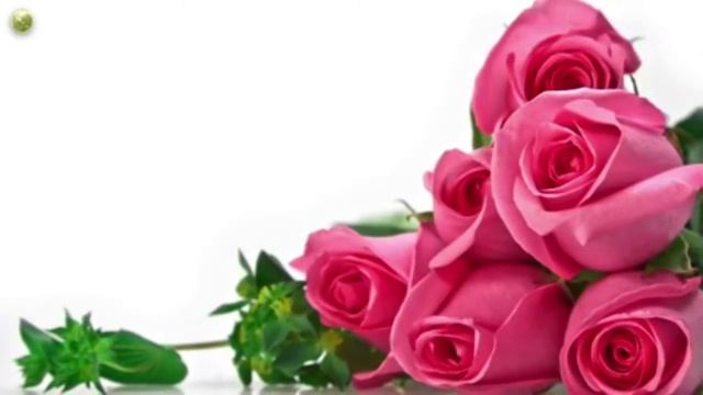 вот как нужно выбирать невесту!!! (online Grozny) смотреть онлайн