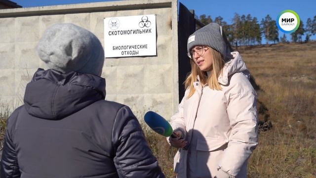 В Улан-Удэ туши мертвых животных свезли к домам смотреть онлайн