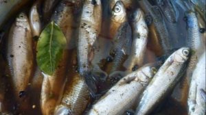 Как солить кильку для закуски