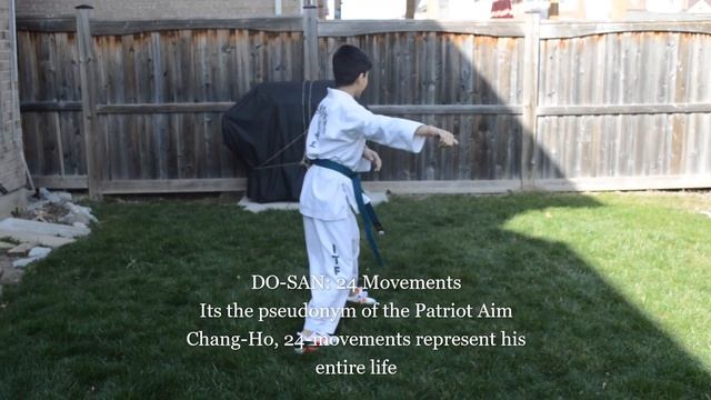 Taekwon-do Green Stripe Pattern (Do-San) смотреть онлайн