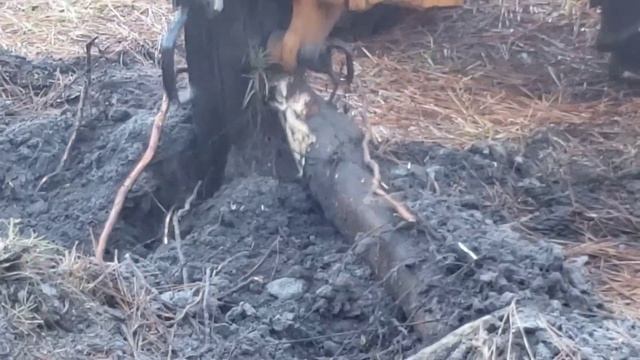 Свой ДОМ в США. Проводим Скоростной ИНТЕРНЕТ смотреть онлайн