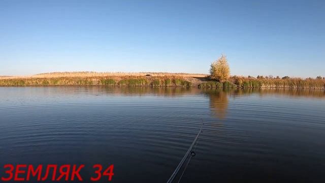 Рыбалка на щуку в Ахтубинской пойме. Рыбалка 2020-осень. Астрахань. смотреть онлайн