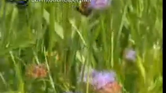 Охрана природы смотреть онлайн