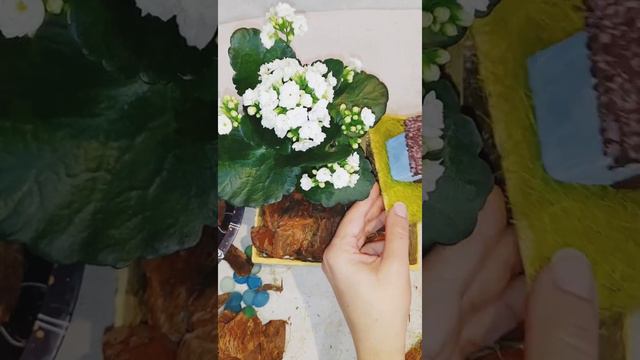 Цветочная композиция с тайником ! смотреть онлайн