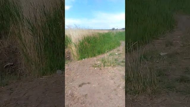 Рыбалка на р. Кагальник смотреть онлайн