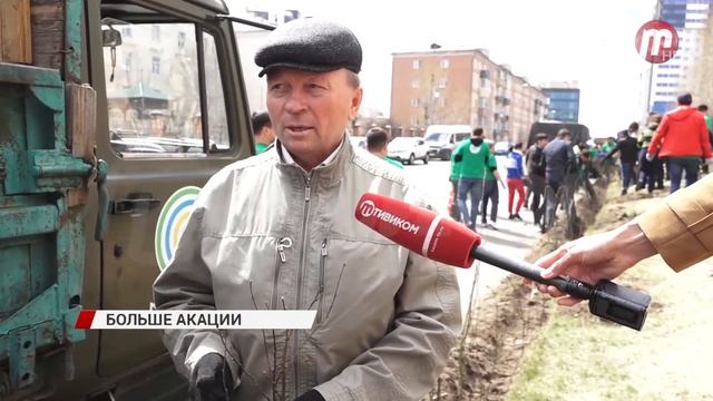 Тысячи кустов акаций высадили сегодня в Улан Удэ смотреть онлайн