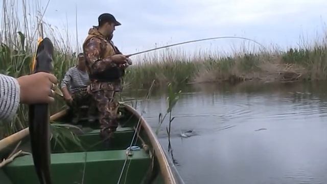 щука на раскатах смотреть онлайн