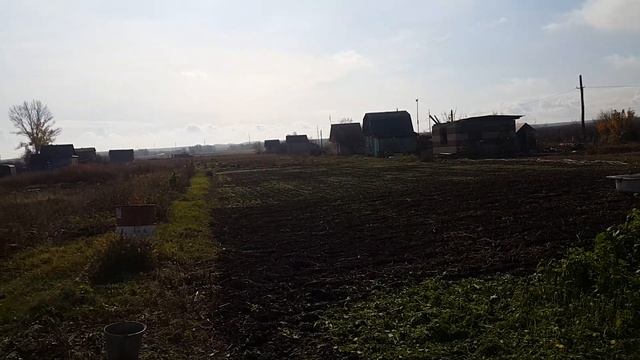 Косим горчицу под запашку на зиму. смотреть онлайн