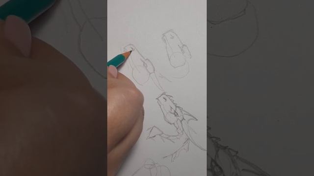 Как нарисовать дракона 2 смотреть онлайн