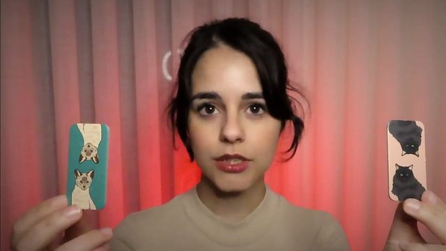 ASMR Follow my instructions: Pay attention!! ✨ fast light triggers + CATS! смотреть онлайн