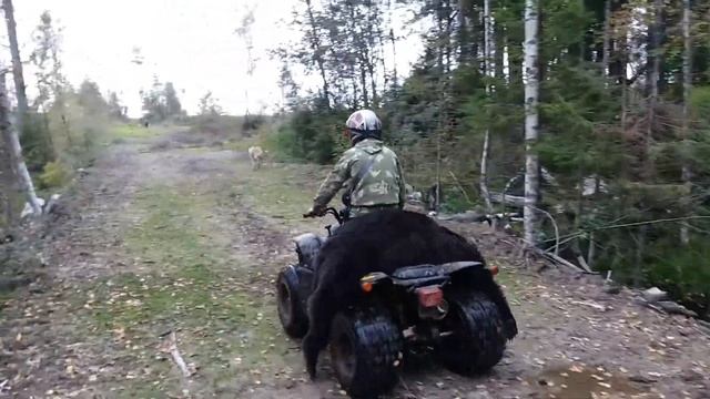 Квадроцикл стелс. Детский квадроцикл. смотреть онлайн