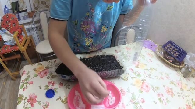 Сажаем томаты на рассаду "ЧИО -ЧИО- САН", "ПОЛОСАТЫЙ ШОКОЛАД", "ШАПКА МОНОМАХА". смотреть онлайн