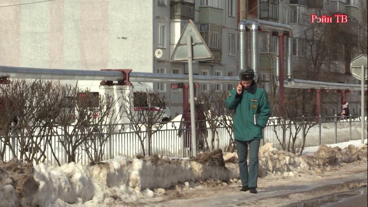 В одной из школ Сосенского спецслужбы ищут взрывное устройство