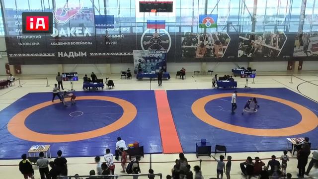 Турнир Надымского района по спортивной (вольной) борьбе 06.11.2022 смотреть онлайн