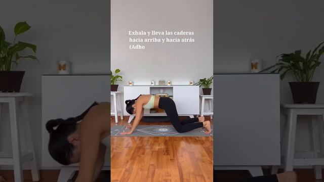 Saludo al Sol C o Surya Namaskar C ? смотреть онлайн