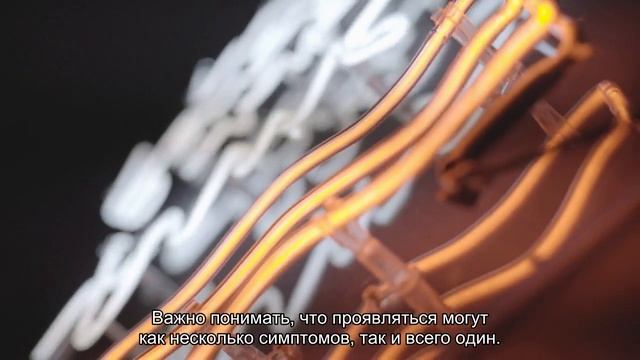 Дегельминтизация котят и кошек смотреть онлайн