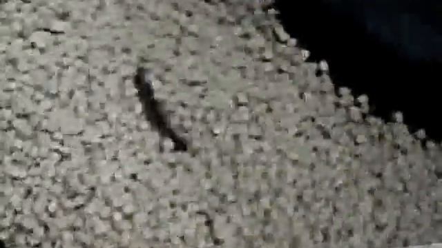 Галтовочный барабан. Виброшлифовальная установка.Галтовка. смотреть онлайн