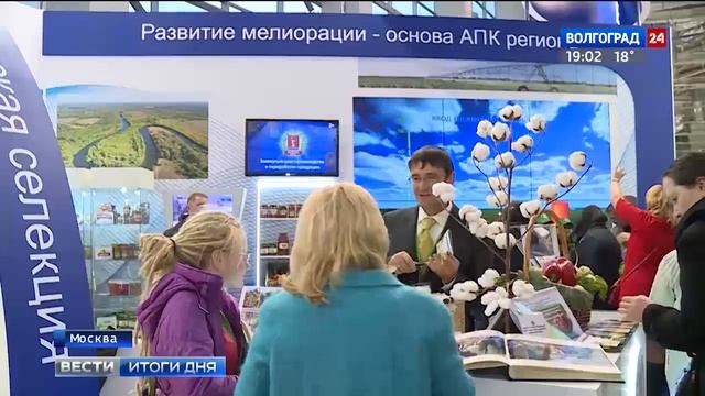 Волгоградская область завоевала Гран-при всероссийской выставки «Золотая осень - 2017» смотреть онлайн