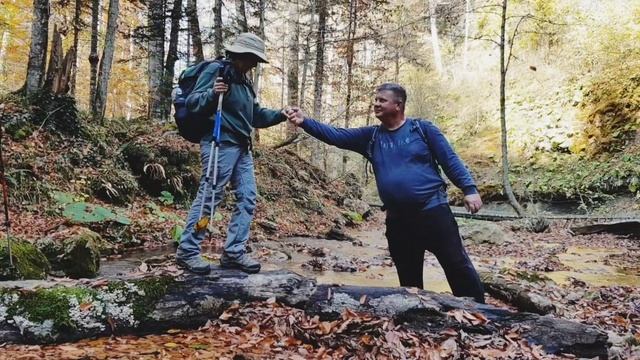 The Dance of leaves/Танец листьев смотреть онлайн