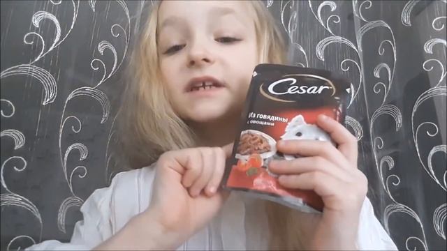 Злой кинолог: питательная пища смотреть онлайн