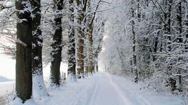 Зимние пейзажи смотреть онлайн