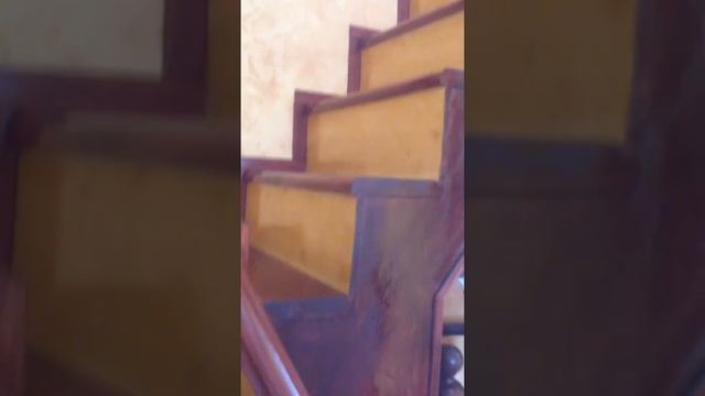 Лестница из дуба смотреть онлайн