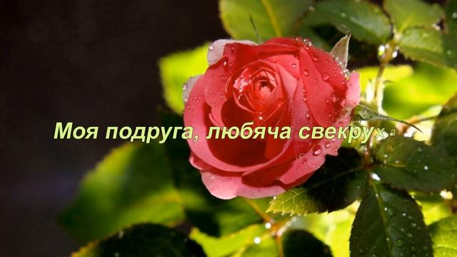 Привітання з Днем народження свекрусі смотреть онлайн